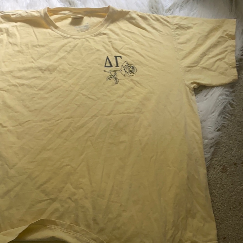 Delta gamma t shirt